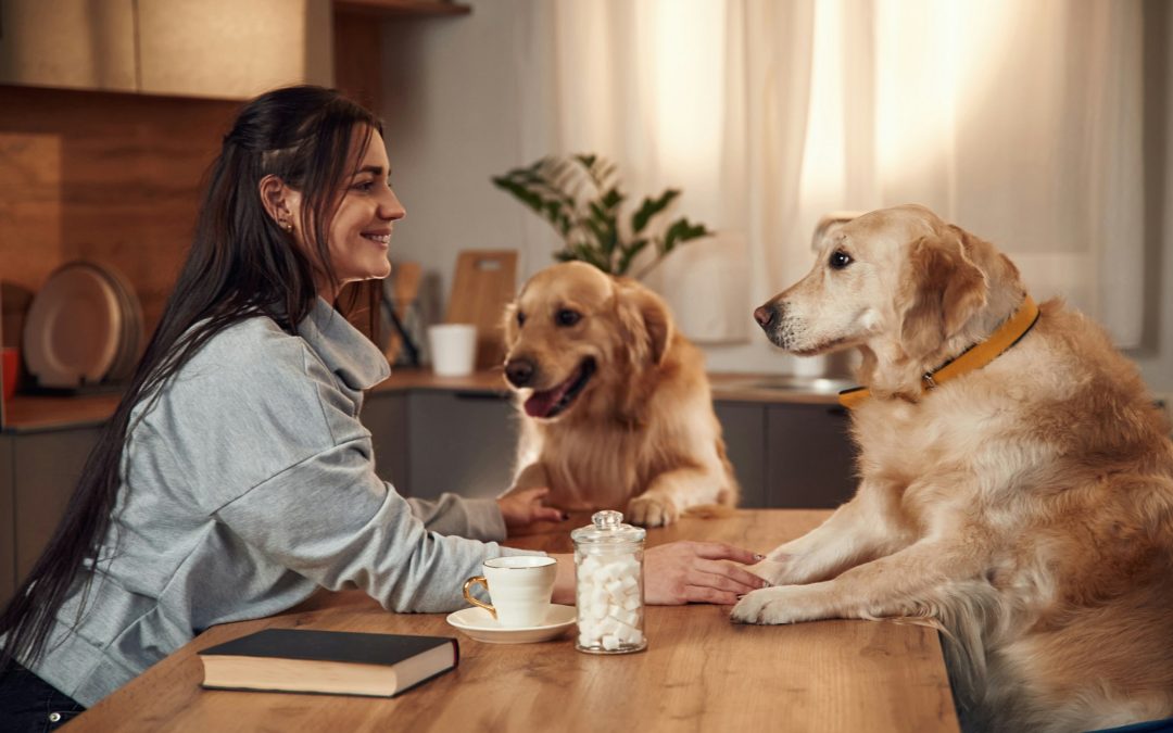 From Solo to Duo (or More): The Realities of Expanding Your Pet Family